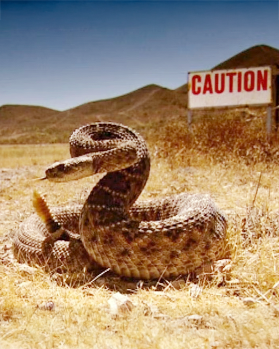 Good the bad and the ugly Mobile